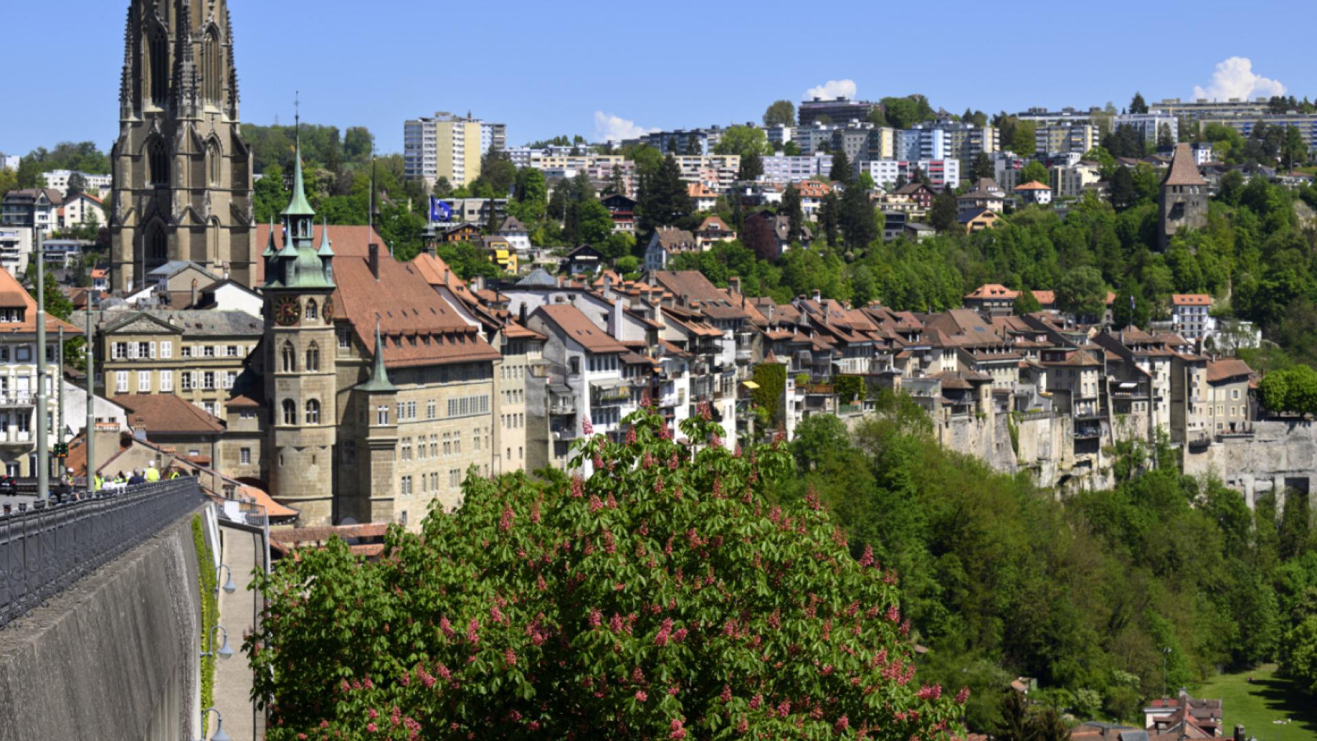 Nouvelle politique de l’habitat et du logement pour Fribourg