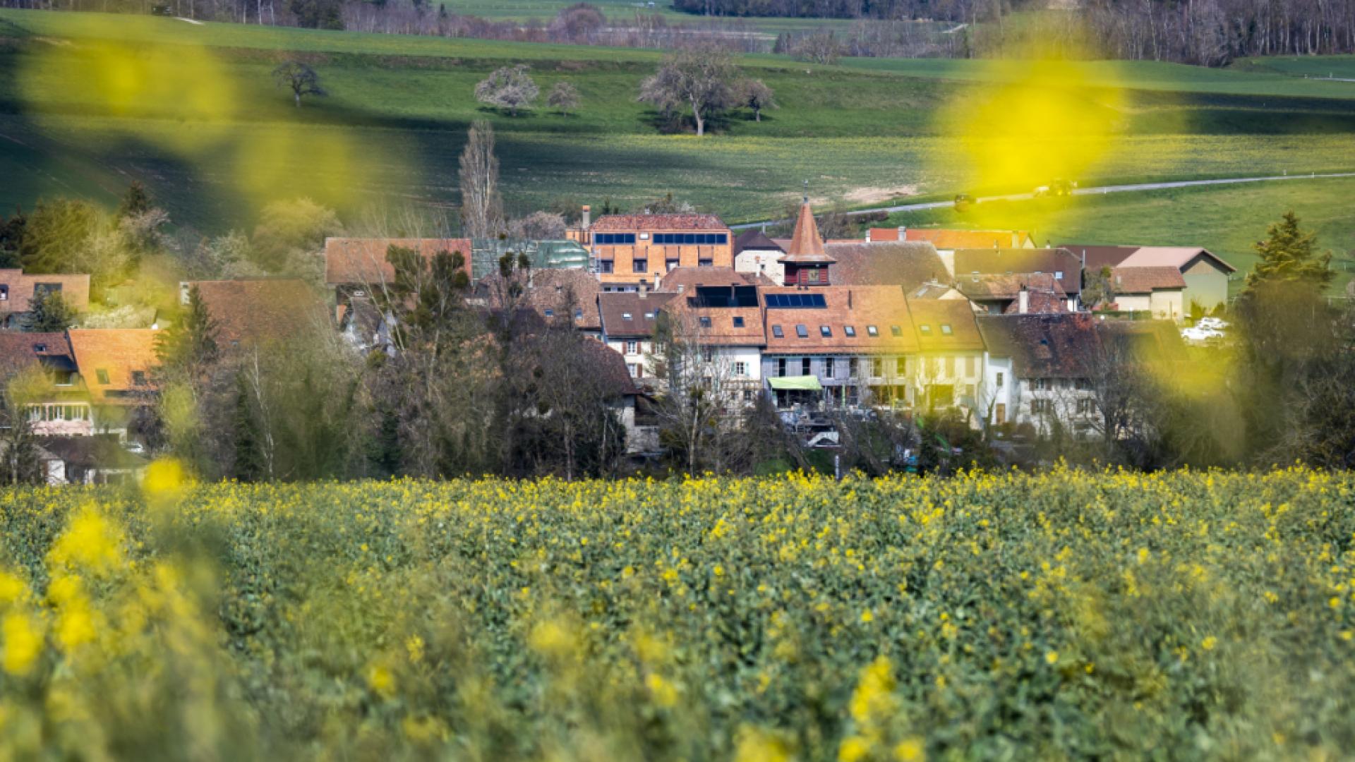 Fribourg: bilan positif pour le plan d’action de durabilité 2021-26