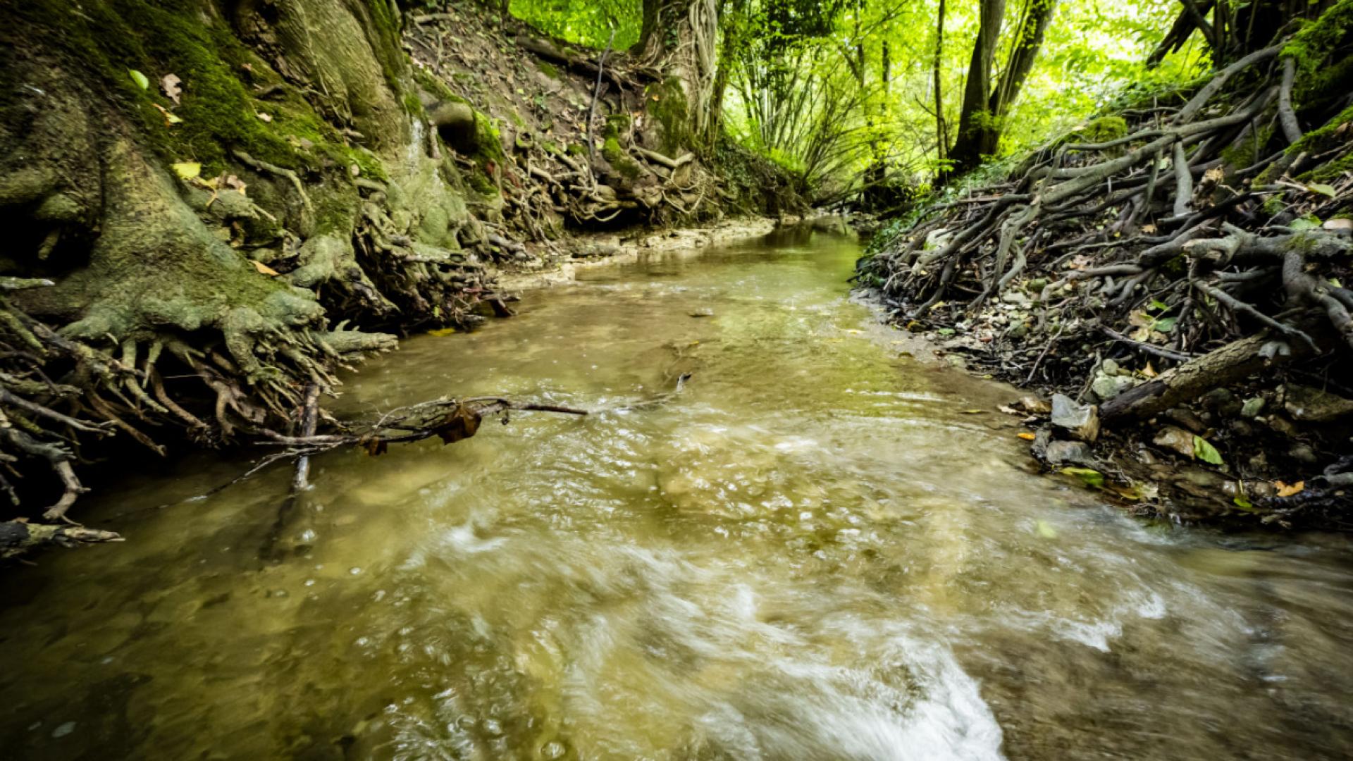 Les mystères de l'eau à la Maison de la rivière de Tolochenaz