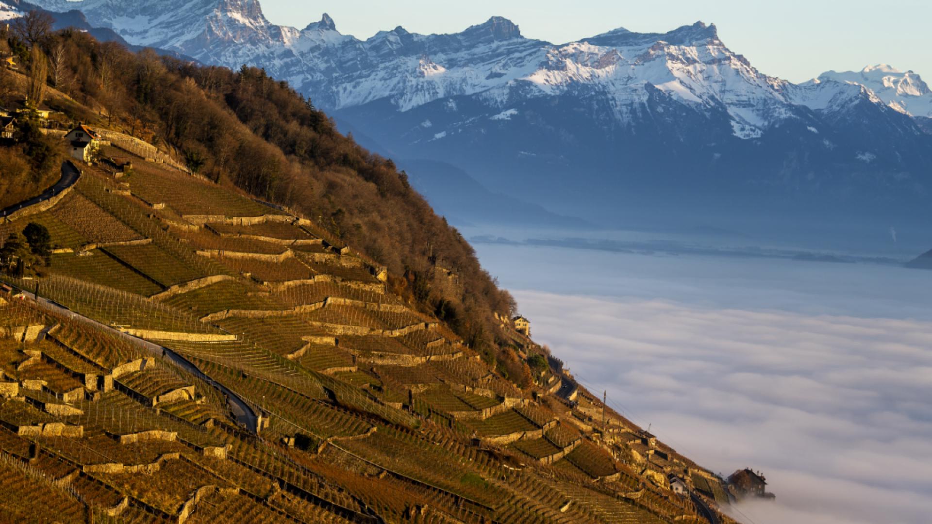 PAC Lavaux: ouverture de l'enquête publique complémentaire