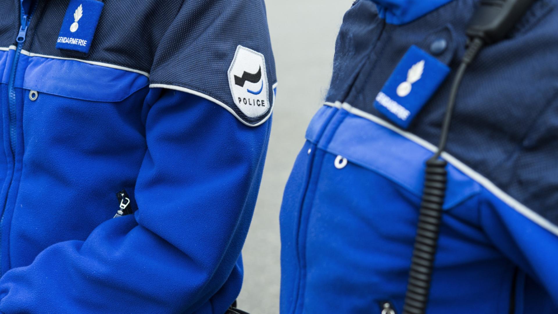 Villars-sur-Glâne (FR): cambrioleurs arrêtés avec l'aide d'un chien