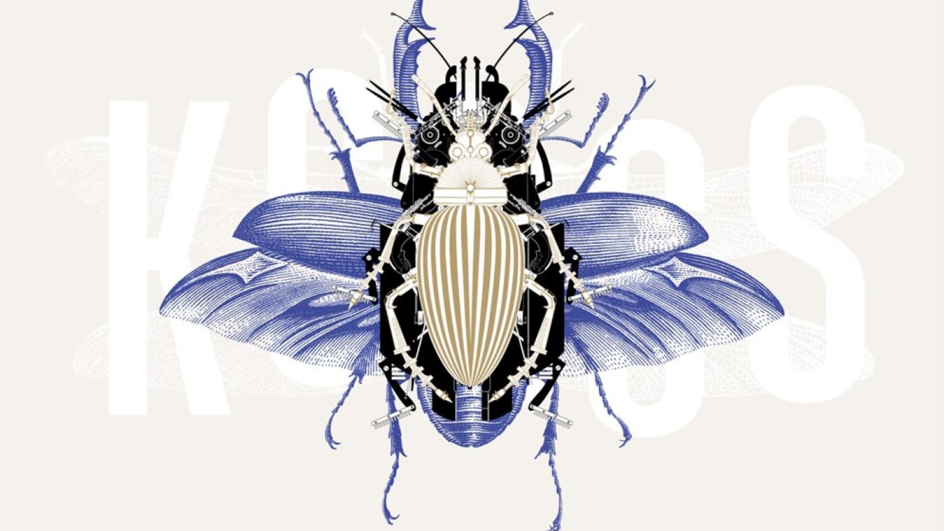 Muséum de Neuchâtel: le bruit de 1000 insectes à écouter