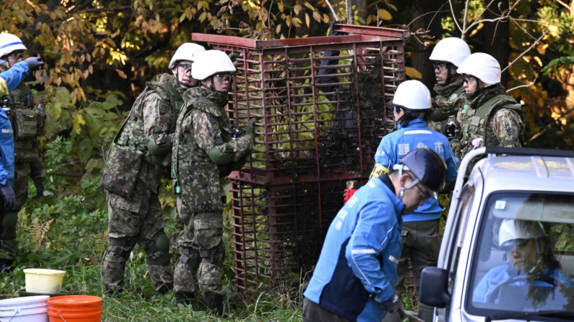 Japon: les policiers autorisés à abattre des ours