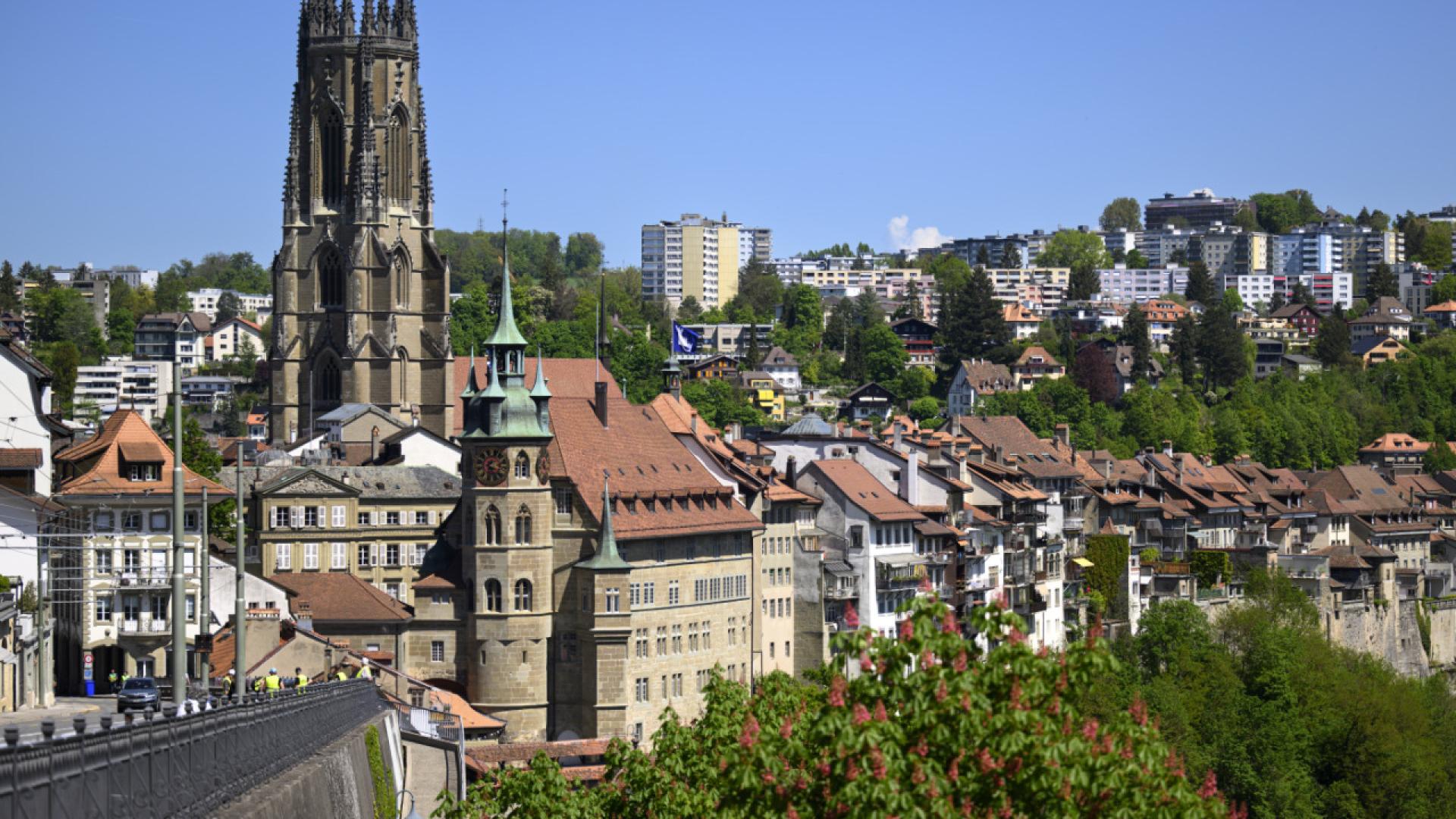 Résolution de la Ville de Fribourg pour l'accueil d'enfants de Gaza