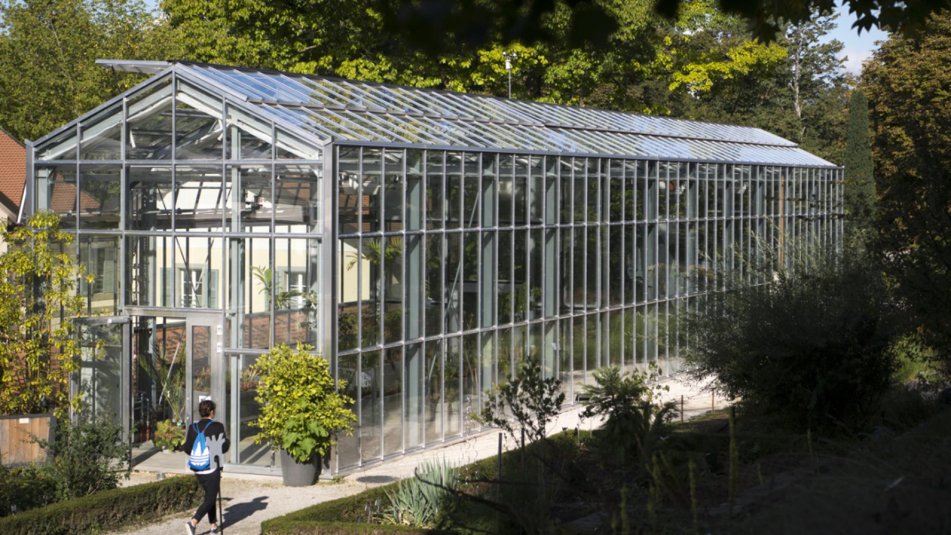 Les dessins naturalistes s'invitent aux Naturéum à Lausanne