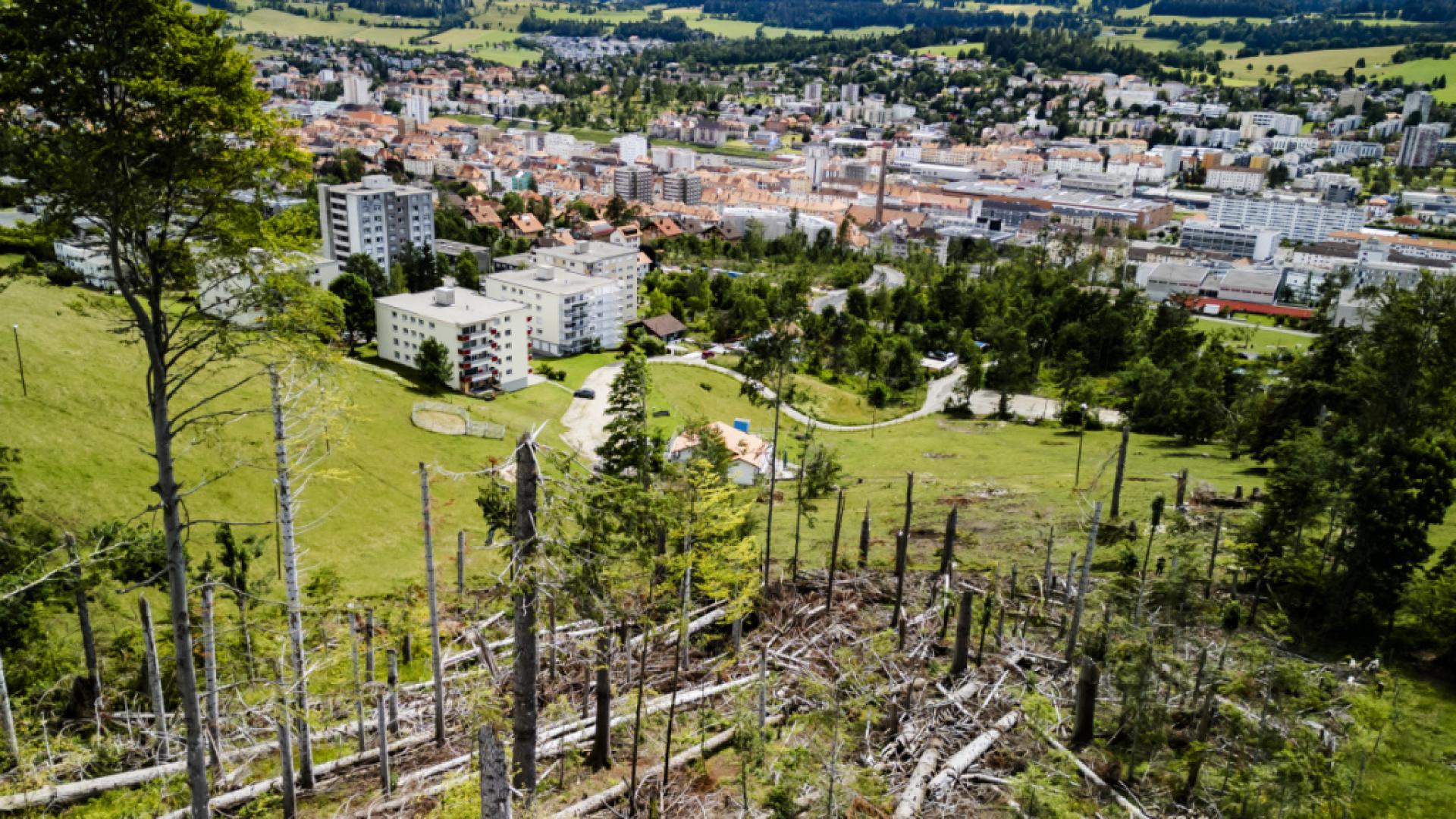 Le lycée Blaise-Cendrars de La Chaux-de-Fonds fête ses 125 ans