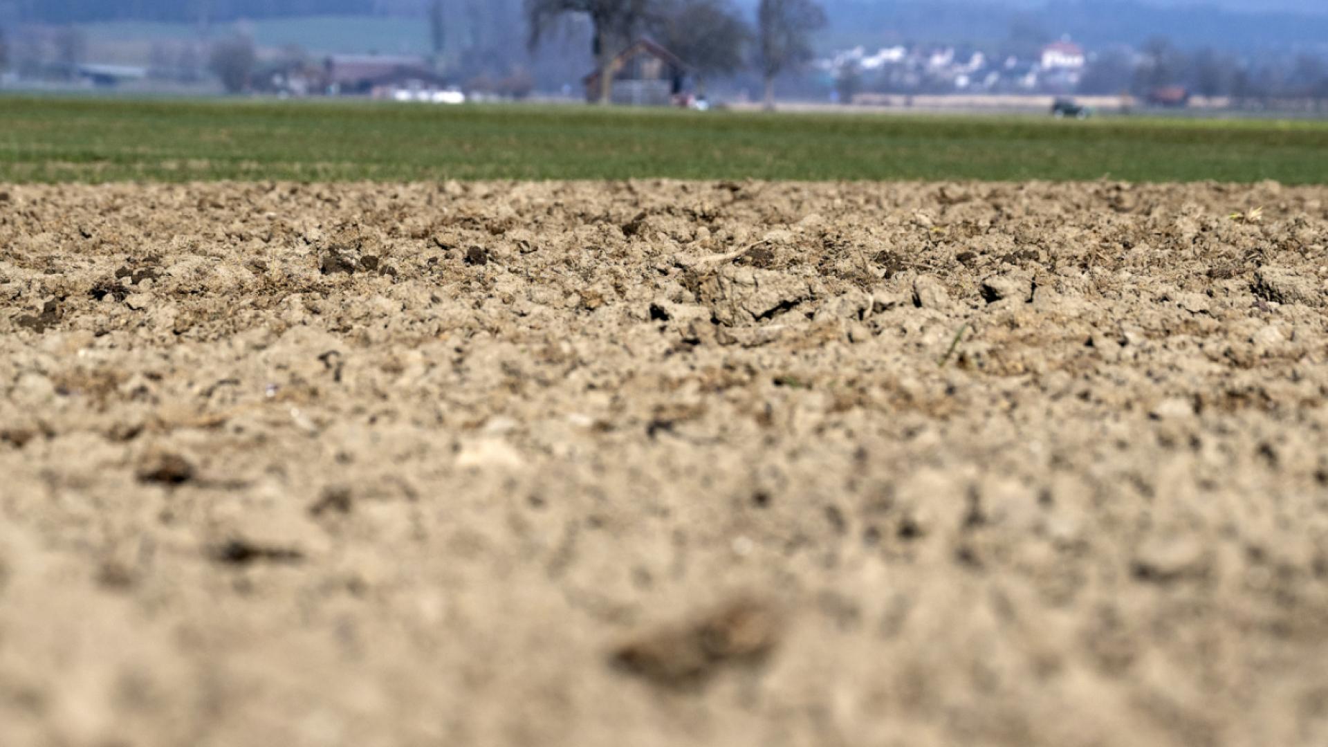 Climat: les Vert-e-s exigent un sommet et des mesures contraignantes