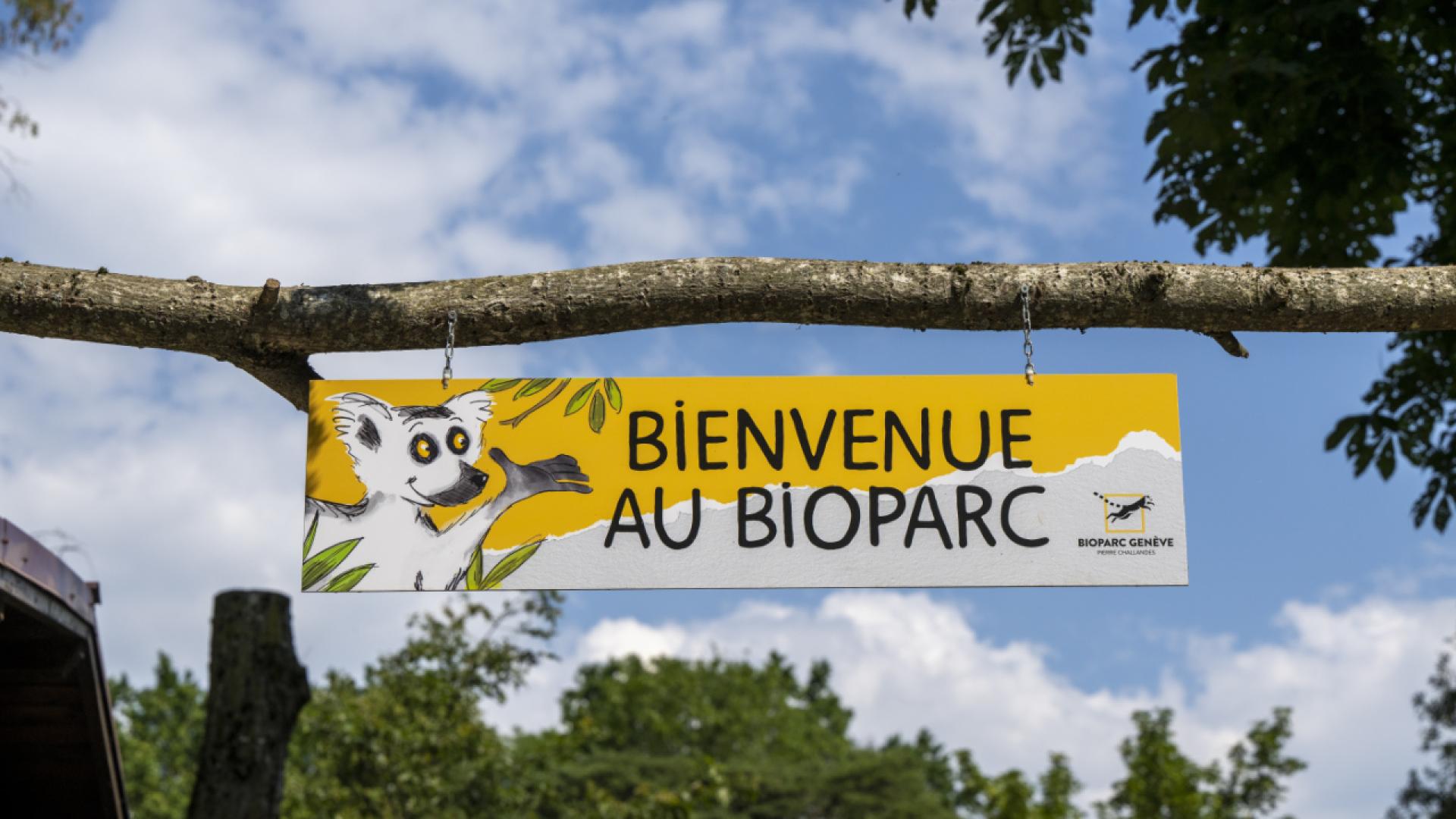 Remise d'une pétition pour "sauver" le Bioparc