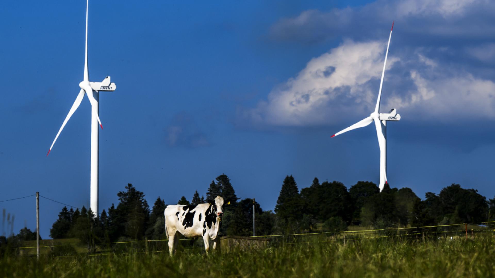 Fribourg: transparence accrue dans l'éolien après un arrêt du TC