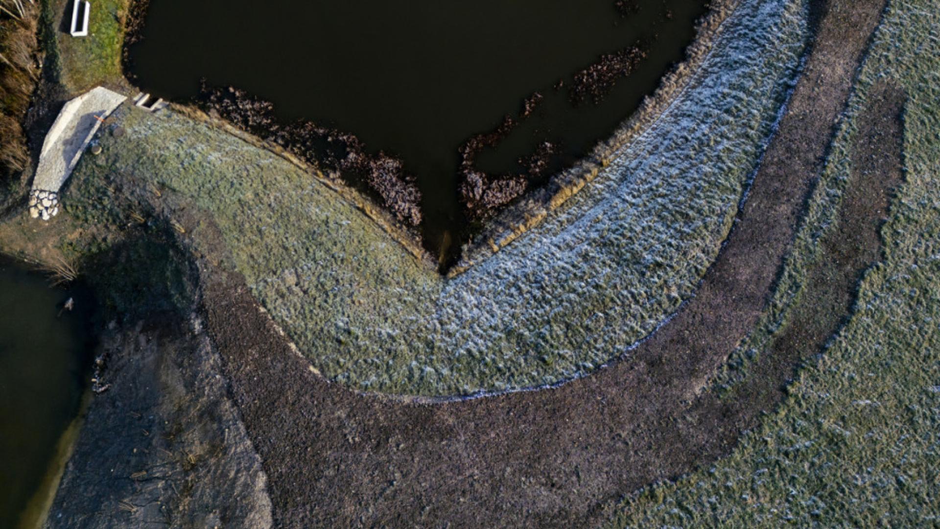 Bas-du-Reymond: zone de protection des batraciens sur l'A20