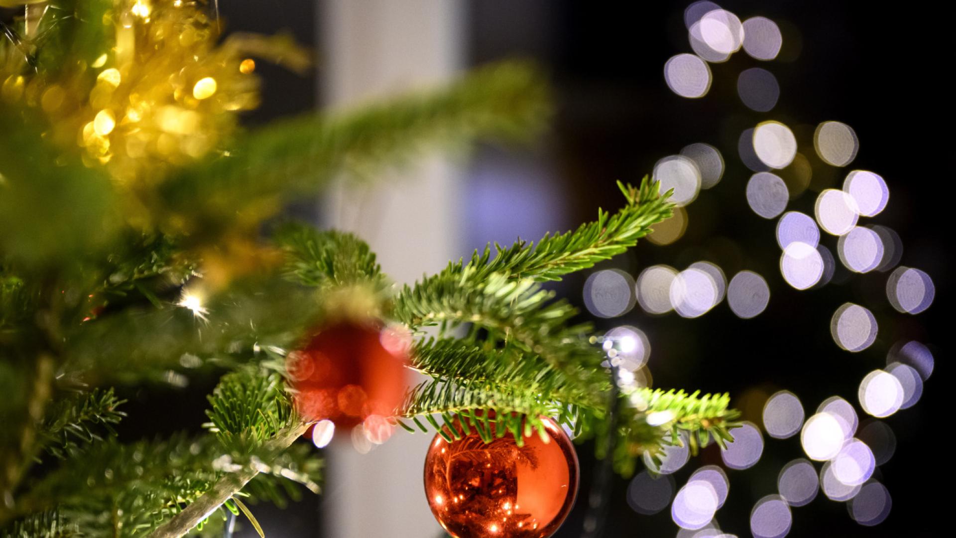 La Main Tendue lance une campagne de sensibilisation à Genève