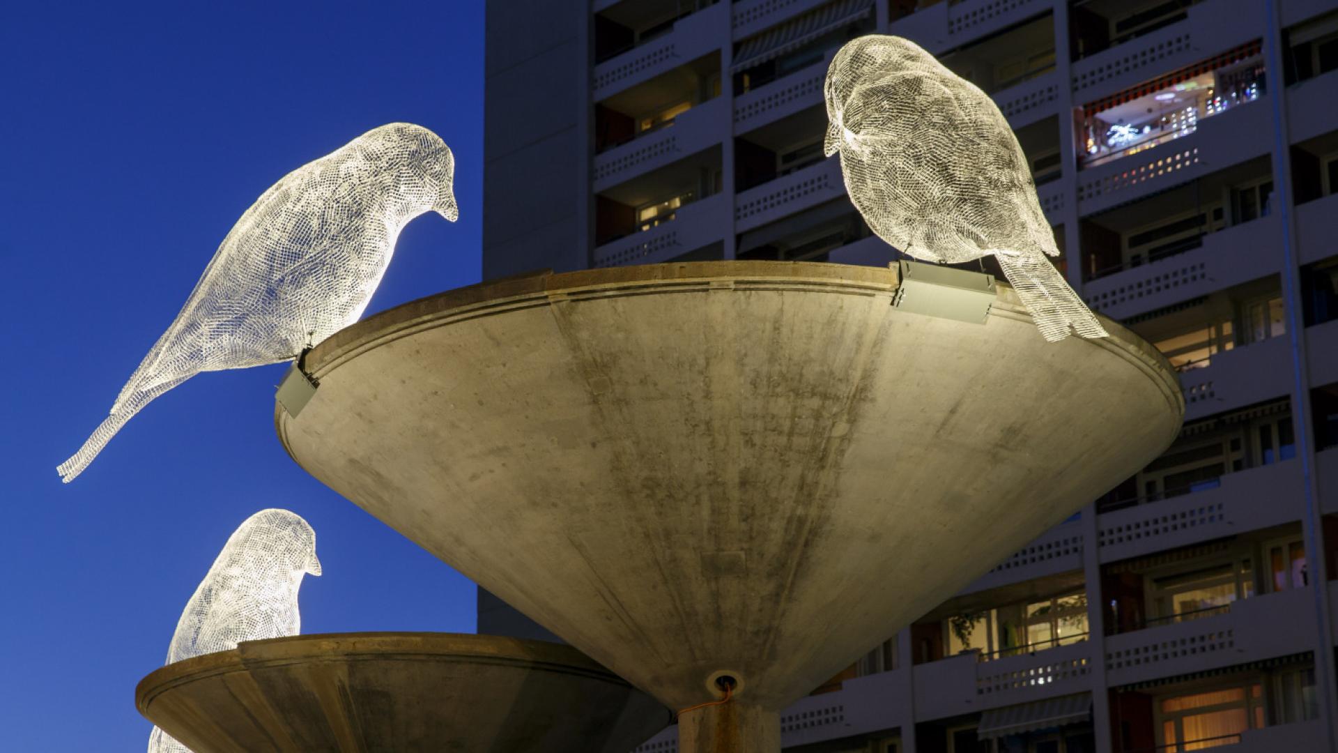 Carouge se pare de ses habits de lumière pendant les Fêtes