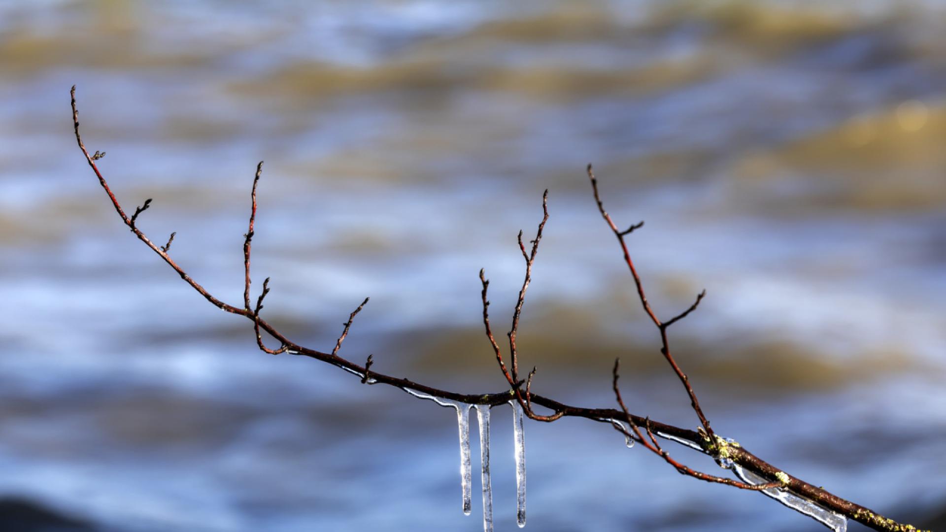 Des températures négatives jusque dans les plaines
