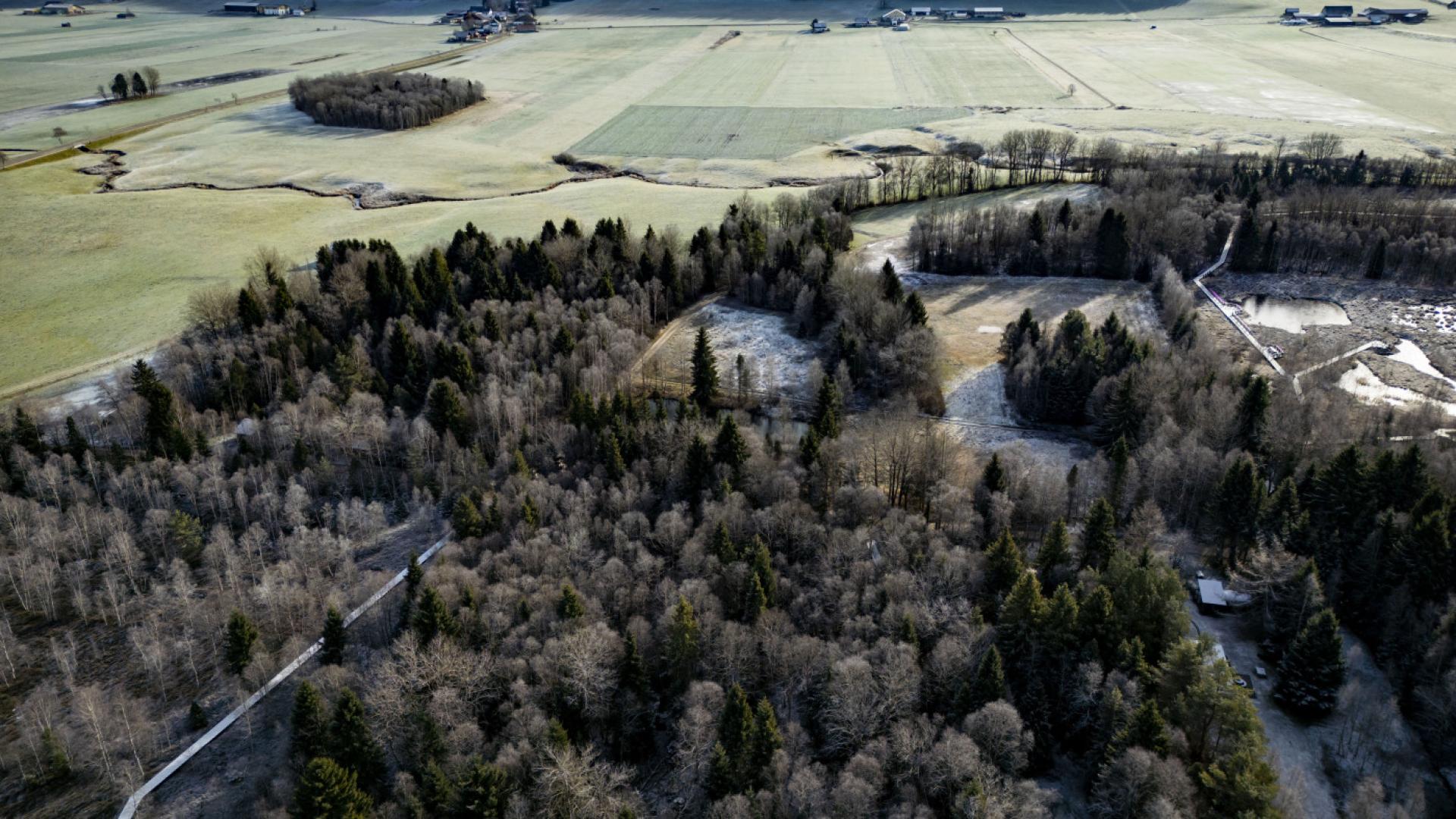 Les Ponts-de-Martel: tourbière du Marais-Rouge revitalisée