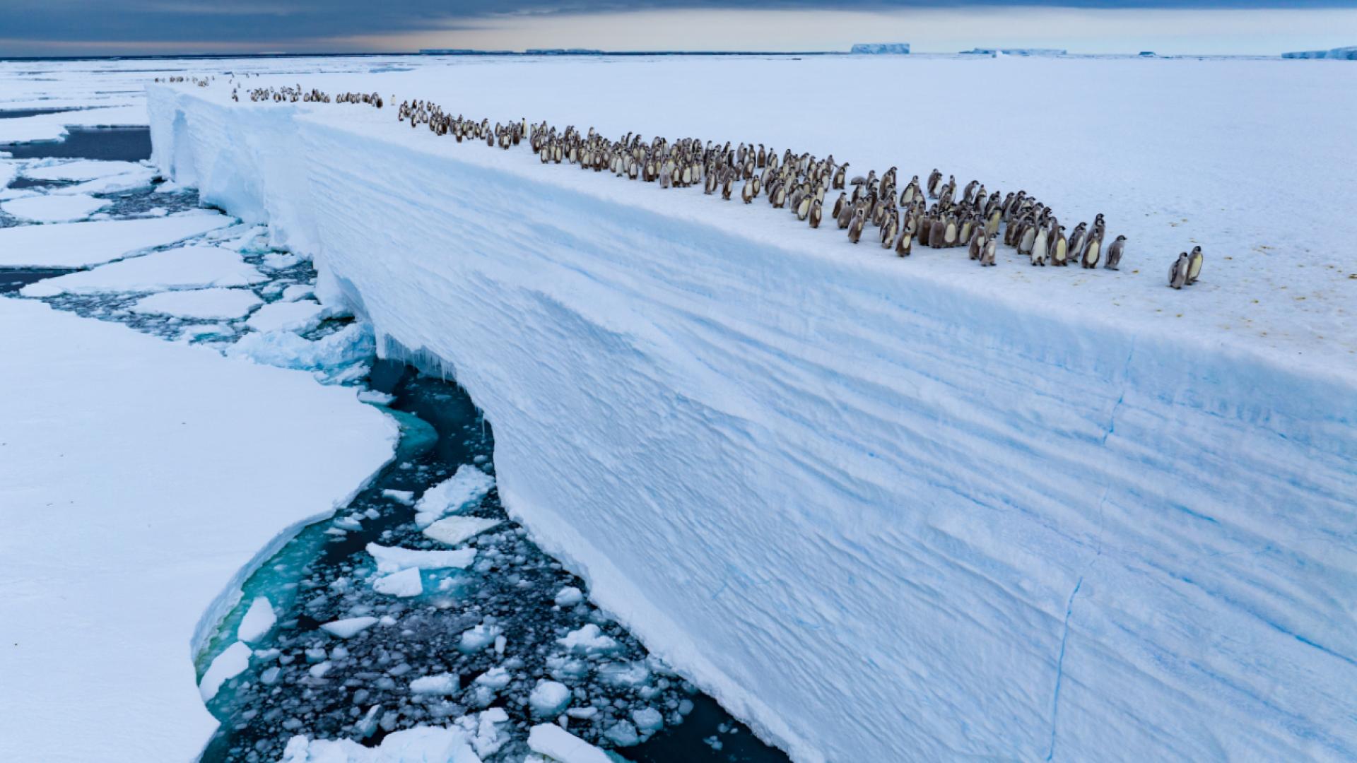 ONU : action urgente pour les océans contre pollution et réchauffement